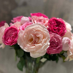 ❤️ Слова любви — букет ароматных розовых роз коллекции Фея розы — в день всех влюблённых у Феи