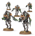 Necron Triarch Praetorians/Lychguard