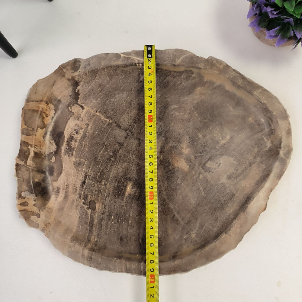 Набор из окаменелого дерева 4 предм Fossil Set NF-62862 поднос 30см*36см