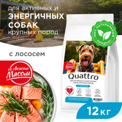 Корм сухой для взрослых собак крупных пород, премиум полнорационный комплекс, для активных и энергичных собак, с лососем, 12 кг, QUATTRO