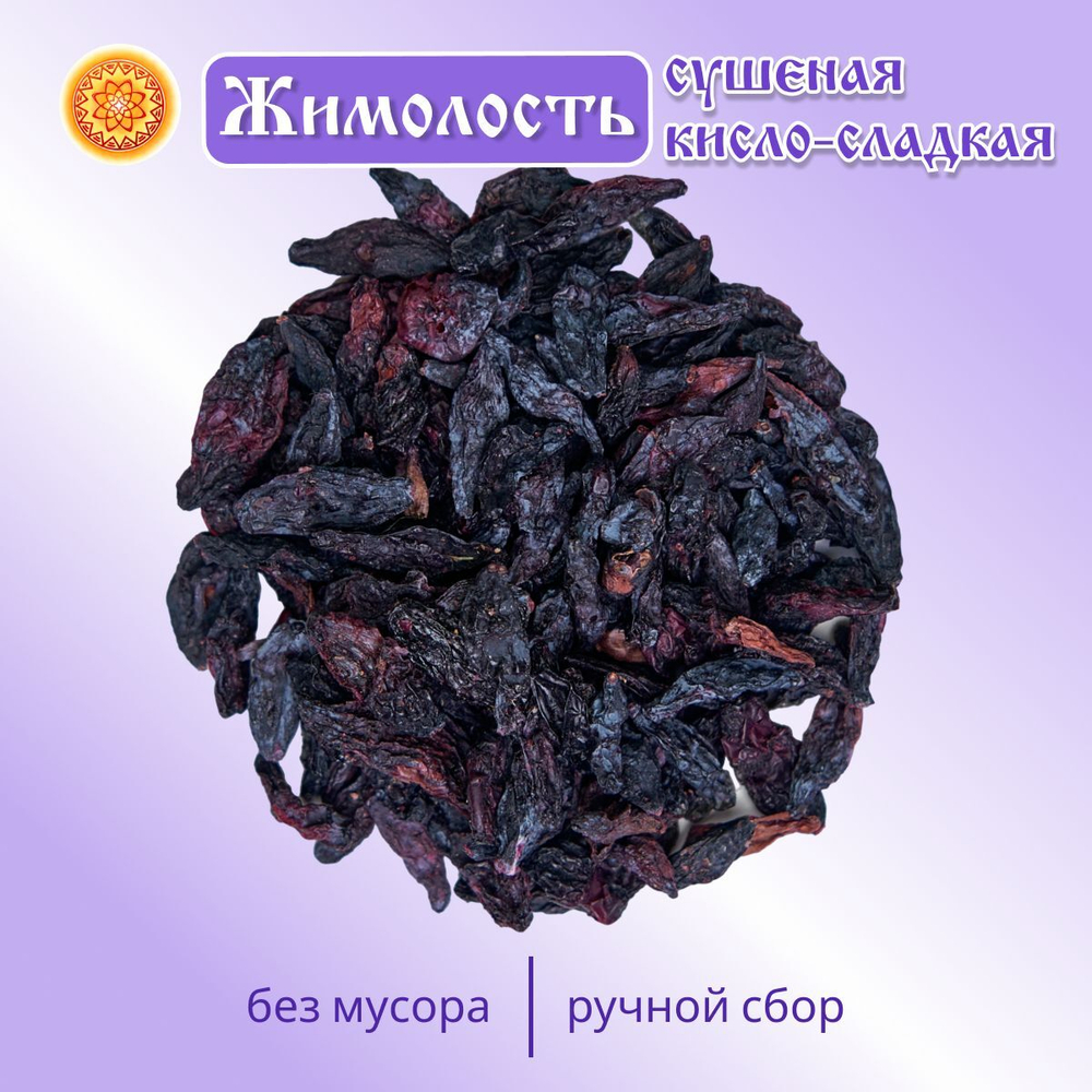 Жимолость Алтайская "Лесная".