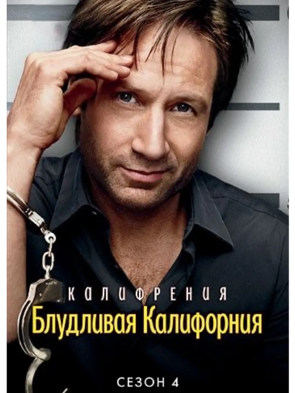 Блудливая Калифорния, 4 сезон (2011) (4 DVD) (DVD-R)