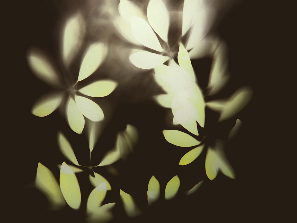 Коллекция GREENDAY 21