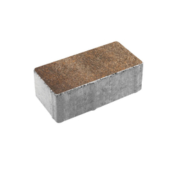 Тротуарная плитка ПРЯМОУГОЛЬНИК 200x100 мм - Листопад гранит Клен