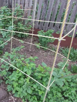 Арматура стеклопластиковая d-12мм (50м) композитная