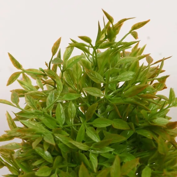 Бонсай "Кустовой" 7*18 см  МИКС