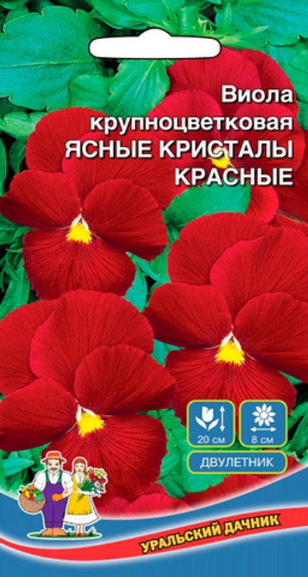 Виола Ясные кристаллы красные