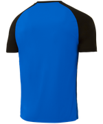 Футболка игровая Camp Striped Jersey, синий/черный