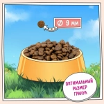 Корм для кошек ZILLII (Зилли) Cat Hairball Control 2кг индейка и утка сухой для кошек, против комочков шерсти в желудке