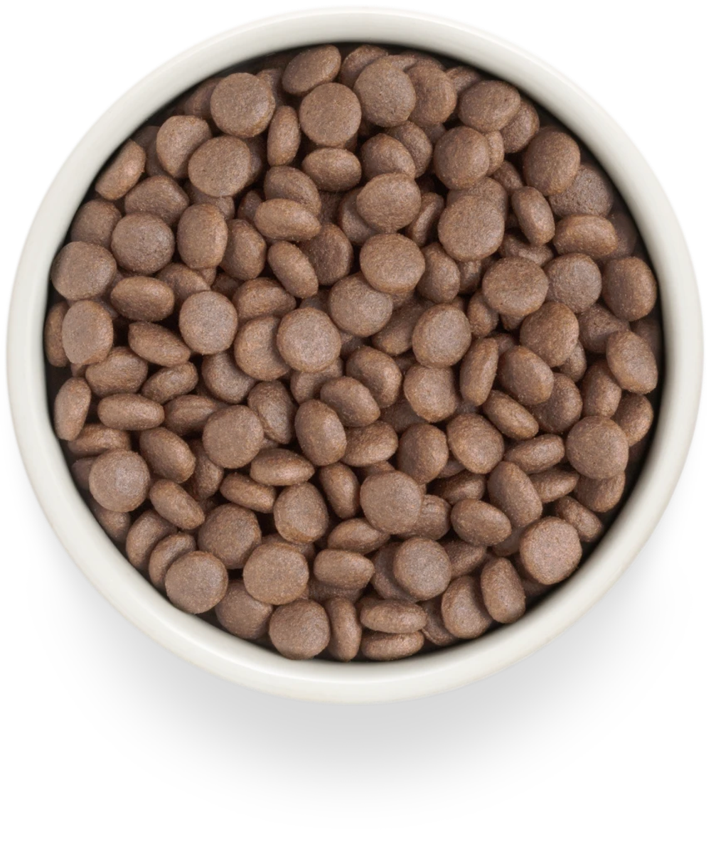 GRANDORF FRESH Свежее мясо индейки с бататом для собак средних и крупных пород