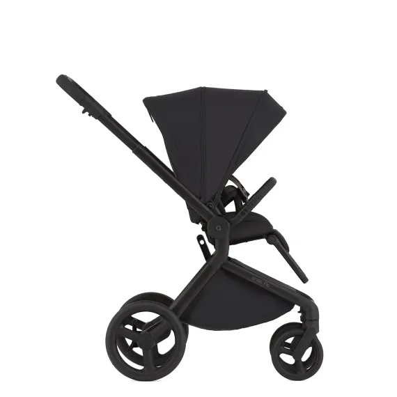 Коляска 2 в 1 ANEX Flo Lungo