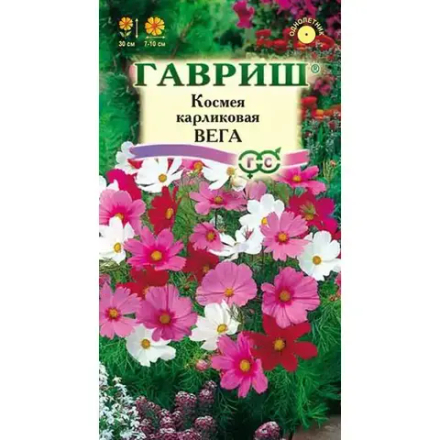 Космея Вега