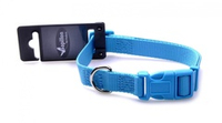 Ошейник для собак Papillon Нейлоновый 20мм-40-55см, бирюзовый