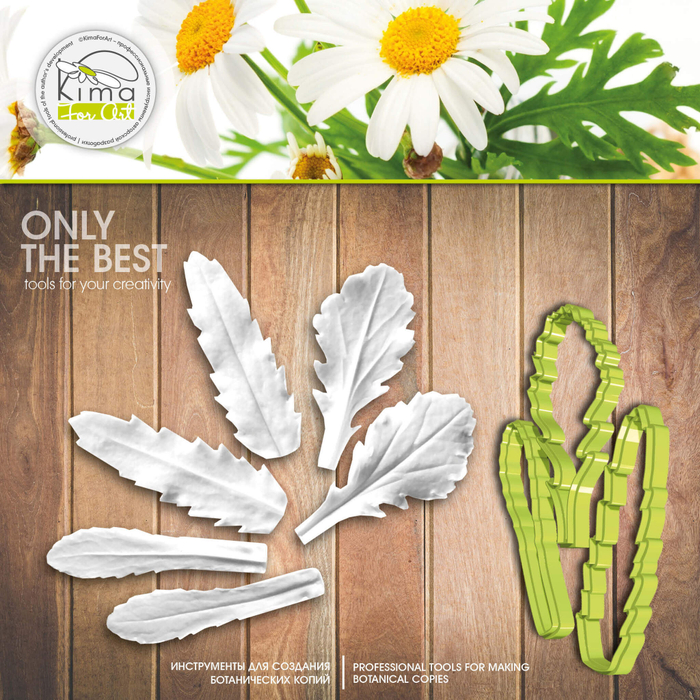 Ромашка листья