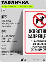 Табличка "Животные запрещены" на дверь и забор, для двора, дома, подъезда, 40х30 см, Silver Plane x Айдентика Технолоджи