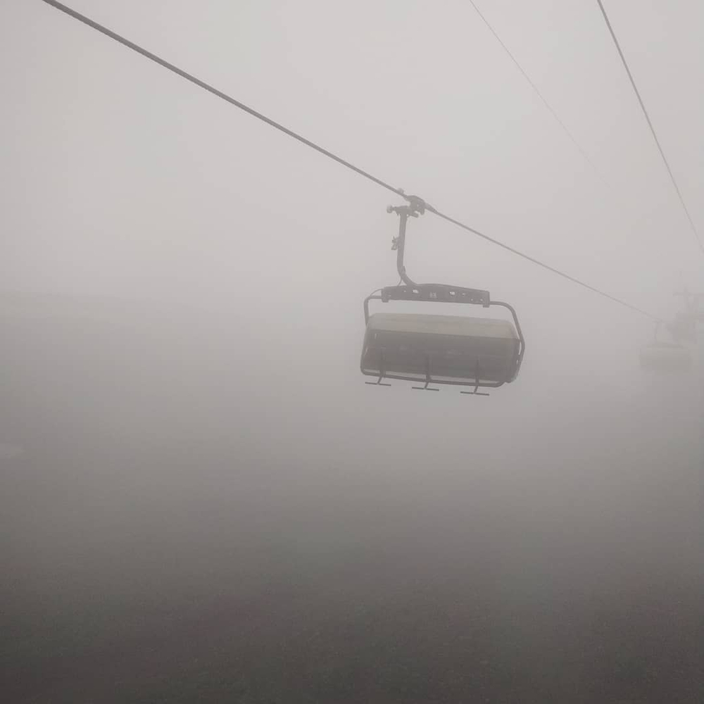 Грифон
