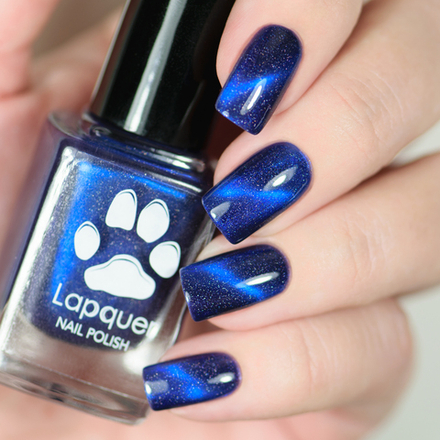 Paracanthurus hepatus (Голубой хирург)