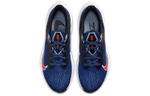 Кроссовки Nike Zoom Winflo 7