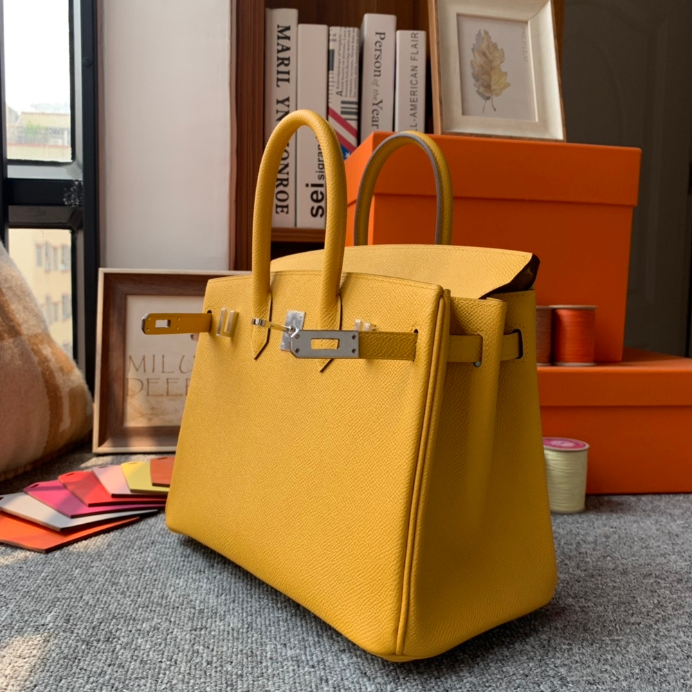 Hermes Birkin 25