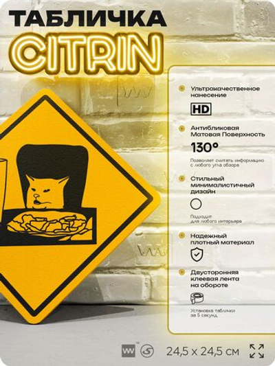Табличка мем "Женщина орет на кота" шуточная прикольная табличка на дверь и стену, для офиса и дома, декоративный знак, 24,5х24,5 см, пластиковая, Айдентика Технолоджи