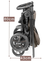 Коляска Peg Perego Veloce TC New Belvedere Lounge 3 в 1 Pine Bark
