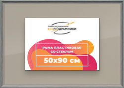Рамка 50x90 для постера и фотографий