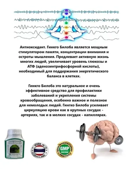 Капсулы Гинкго Билоба для сосудов, сердца и памяти