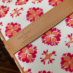 Louis Vuitton Keepall 45