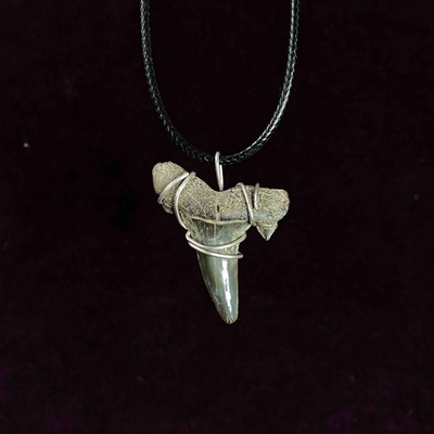 Амулет, зуб ископаемой акулы Джакелотодус