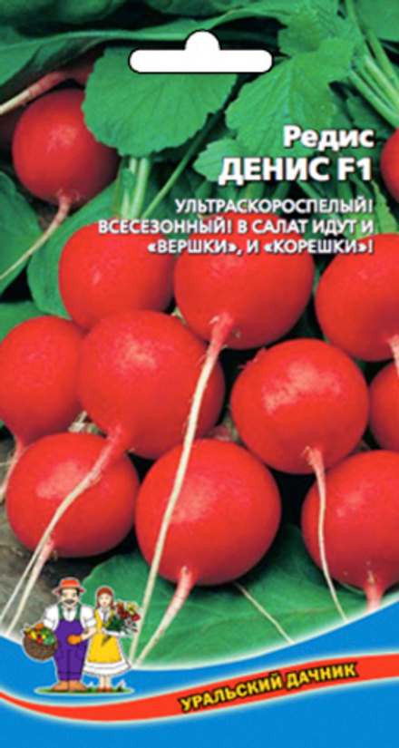 Редис Денис 2г Уральский Дачник