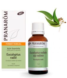 Натуральное эфирное масло Эвкалипт лучистый БИО, Pranarom