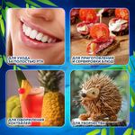 Зубочистки бамбуковые 200 штук в диспенсере, WELDAY, 607567