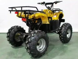 Электроквадроцикл Green Camel Атакама T220 (48V 1000W R8 Дифференциал)