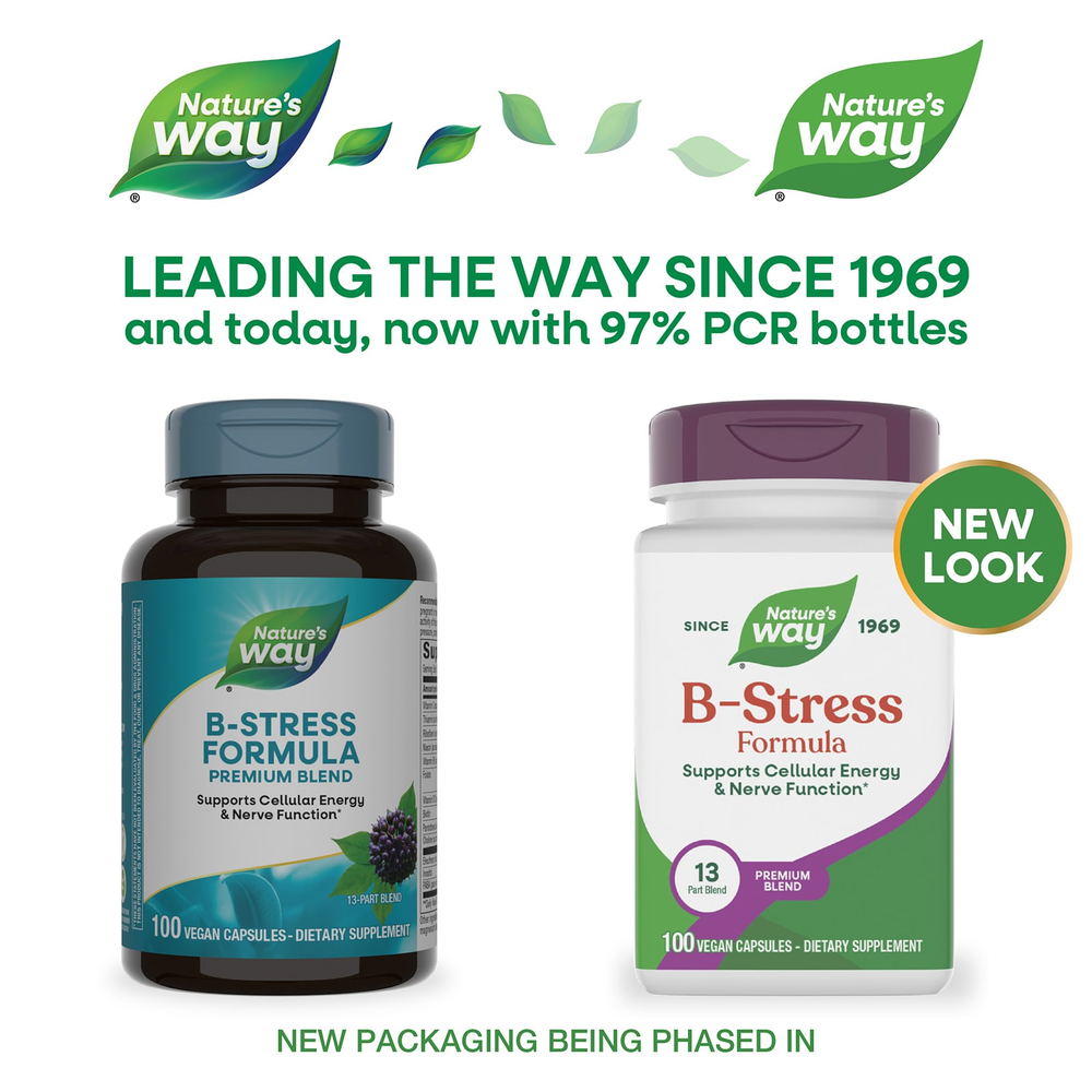 Nature's Way, B-Stress Formula, 100 веганских капсул
