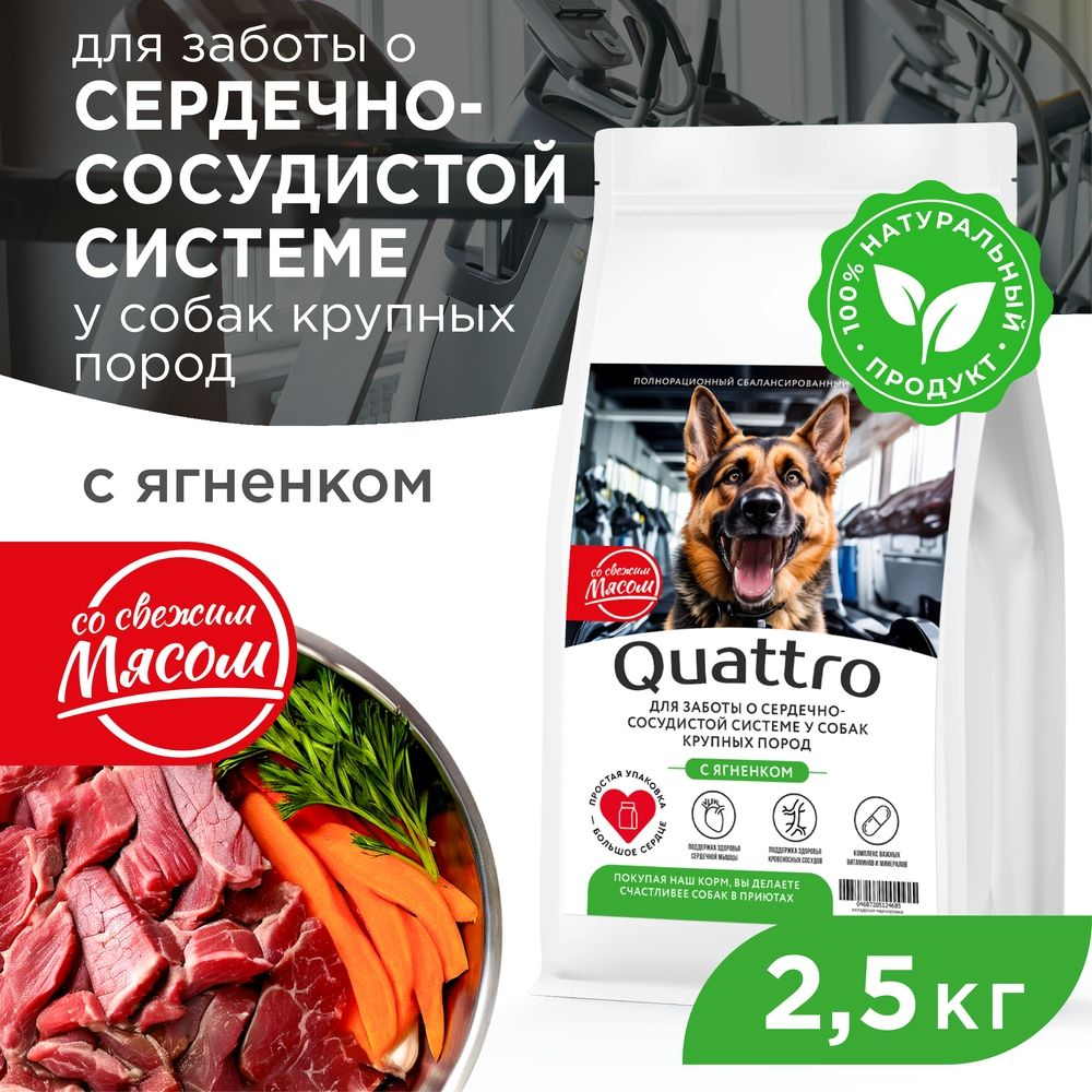 Корм сухой для взрослых собак крупных пород, премиум полнорационный комплекс, для сердечно-сосудистой системы, с ягненком, 2,5 кг, QUATTRO