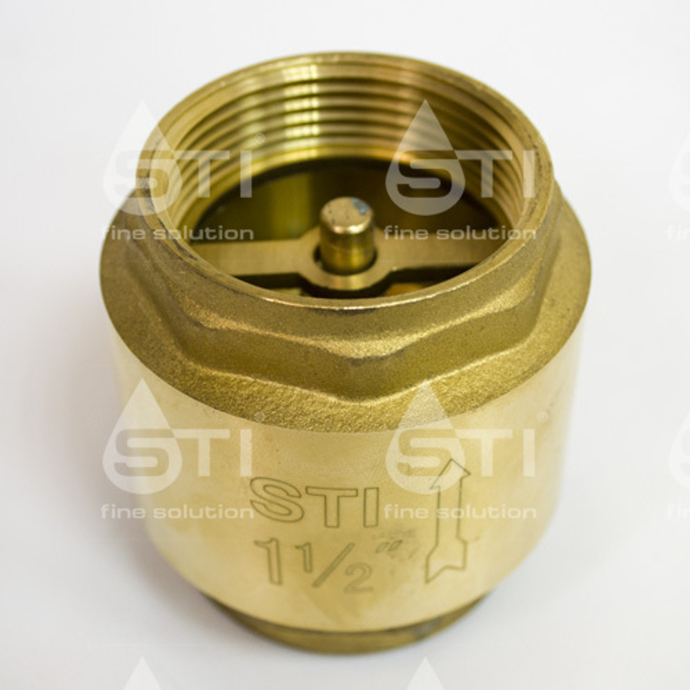 Клапан обратный пружинный STI 40 (латунный шток)