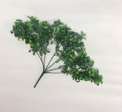 Самшит с напылением