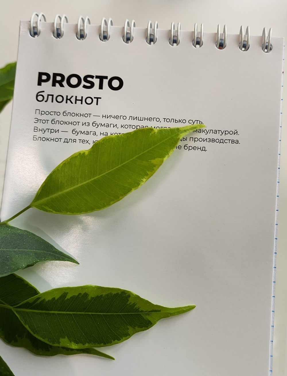 Блокнот PROSTO БЛОКНОТ в клетку, А6+ вертикальный 50 листов (бумага 2 сорт)