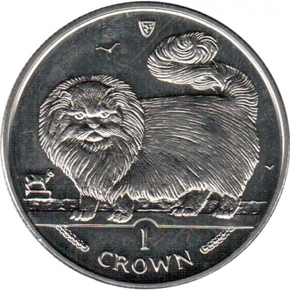 Длинношёрстная дымчатая кошка