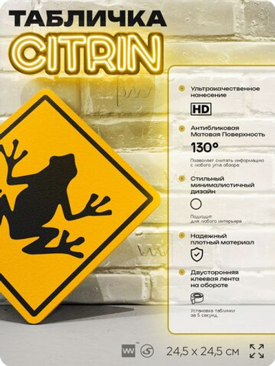 Табличка прикольная "Осторожно, лягушки" на дверь и стену, информационная и предупреждающая, декоративный знак, 24,5х24,5 см, пластиковая, Айдентика Технолоджи