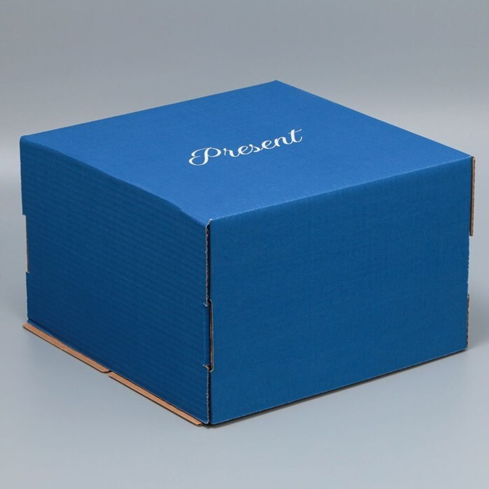 Коробка для торта (синяя) Present, 30*30*19 см