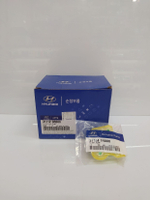 Комплект топливных фильтров HYUNDAI/KIA (топливный фильтр+фильтр сетка), (311121R000 + 311841R000)