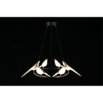 Подвесная светодиодная люстра Aployt Astor APL.822.03.60