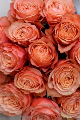 Букет из пионовидных персиковых роз "Кахала"