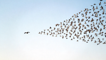 Мотивация к успеху: как пробудить искреннее желание преуспеть