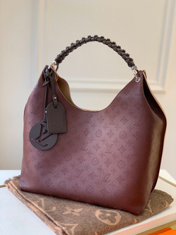 Louis Vuitton Carmel Hobo Bag