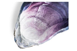 Чаша 42см Michael Aram Коралловый риф