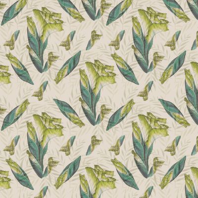 Винтажный гладиолус