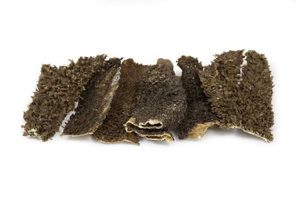 *Желудок говяжий - Б2-XL (УЦЕНКА) *Желудок говяжий - Б2-XL (УЦЕНКА)