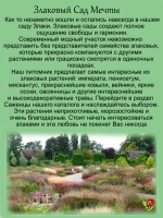 Злак Овсяница аметистовая злак многолетний